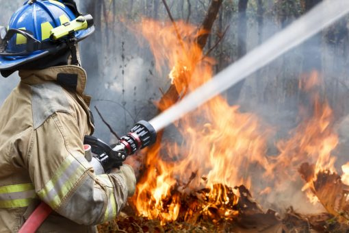 Firefighter resume example, firefighter cover letter, dfes job, department of fire and emergency services